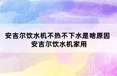 安吉尔饮水机不热不下水是啥原因 安吉尔饮水机家用